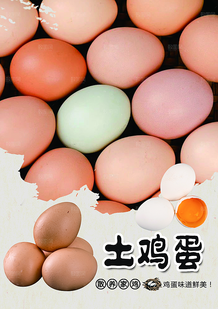 土鸡蛋宣传海报广告