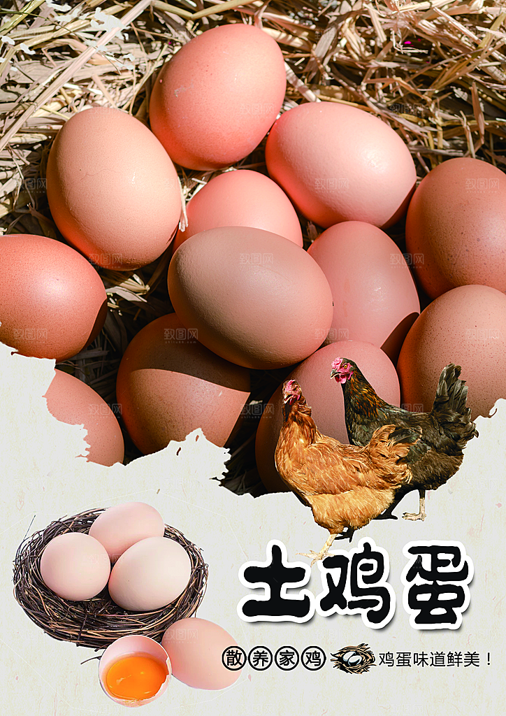 土鸡蛋宣传海报广告