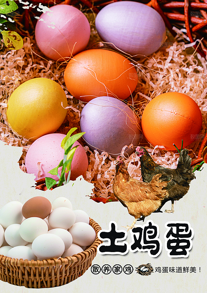 土鸡蛋宣传海报广告