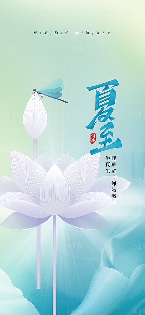 夏至节气传统海报