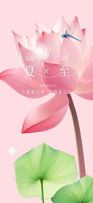 夏至节气传统海报