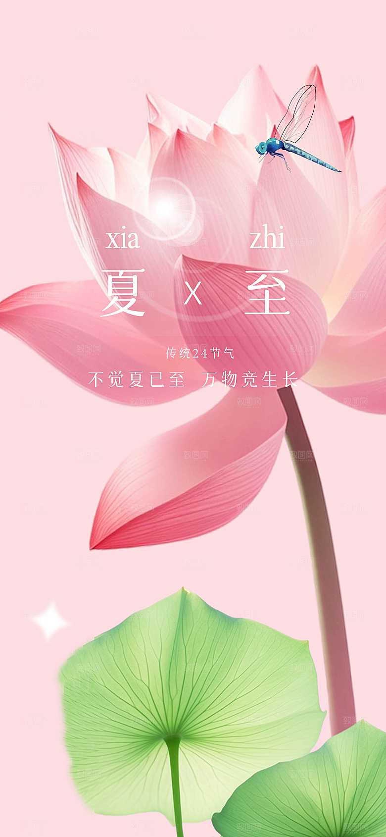 夏至节气传统海报