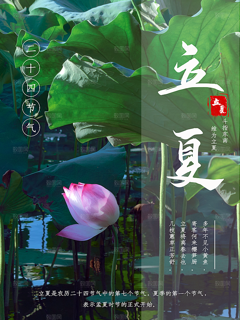 立夏节气简约大气海报