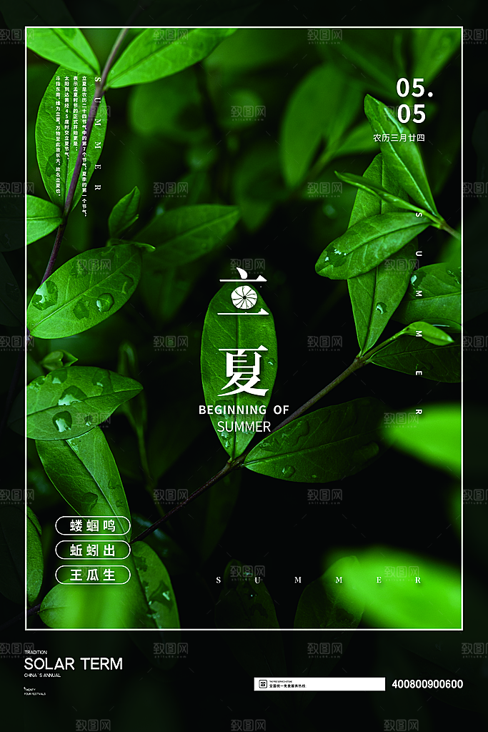 立夏节气简约大气海报