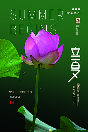 立夏节气简约大气海报