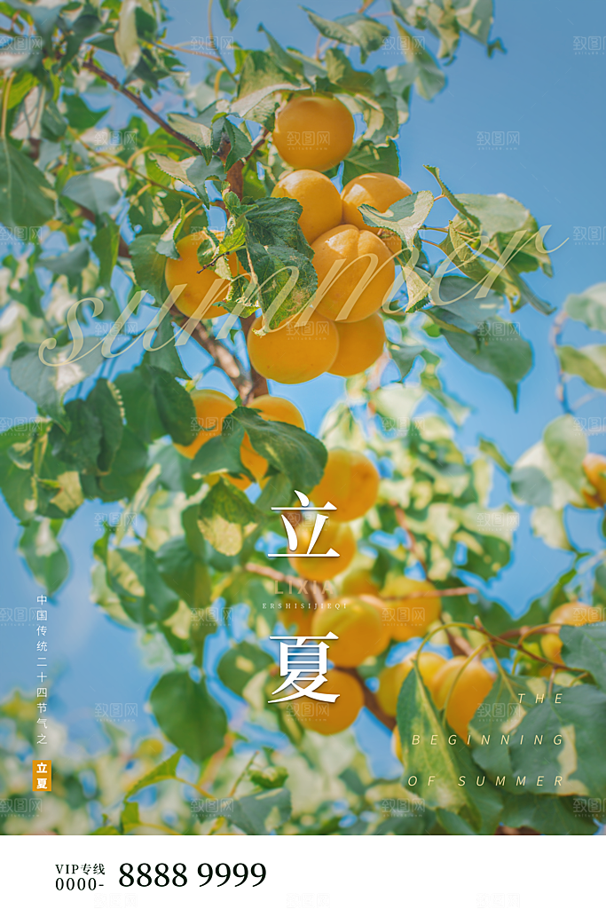 立夏节气简约大气海报