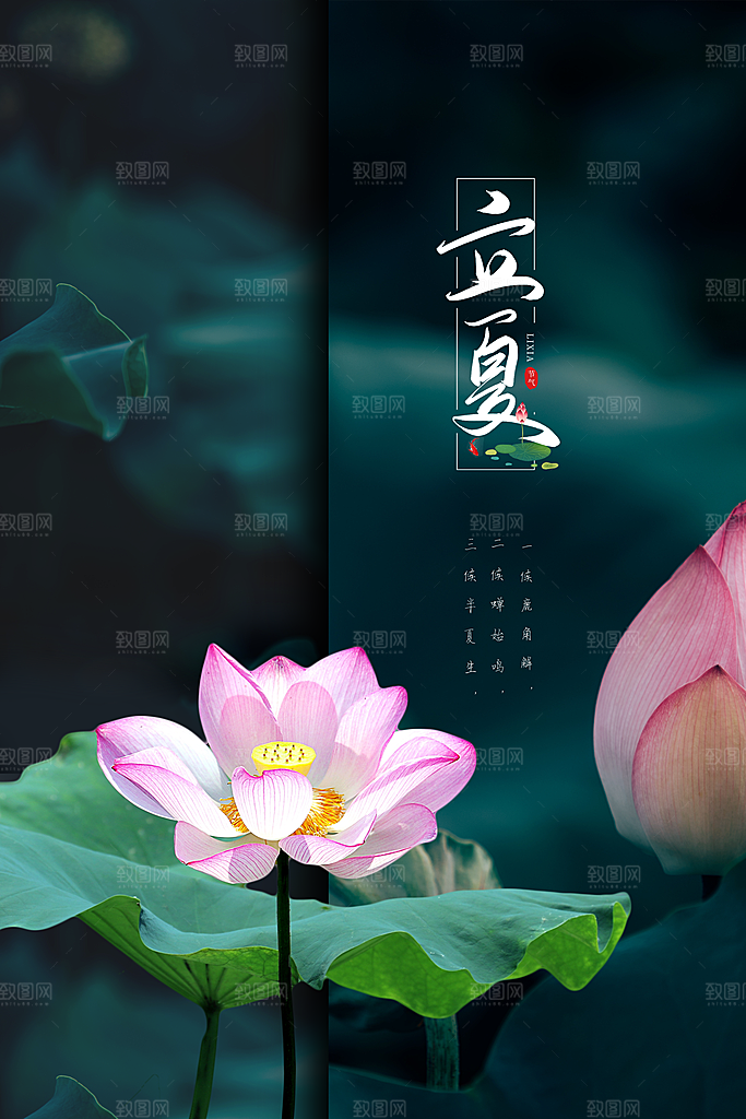 立夏节气简约大气海报