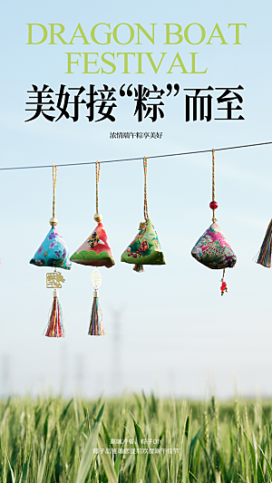 中国端午传统节日海报
