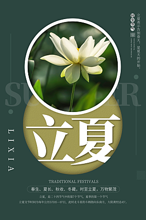 立夏节气简约大气海报