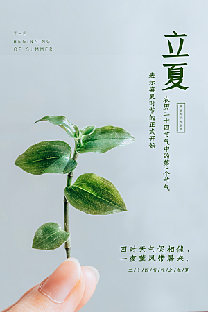 立夏节气简约大气海报