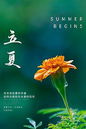 立夏节气简约大气海报
