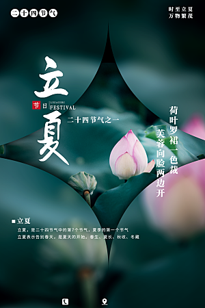 立夏节气简约大气海报