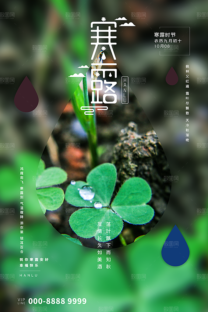 寒露节气寒露海报