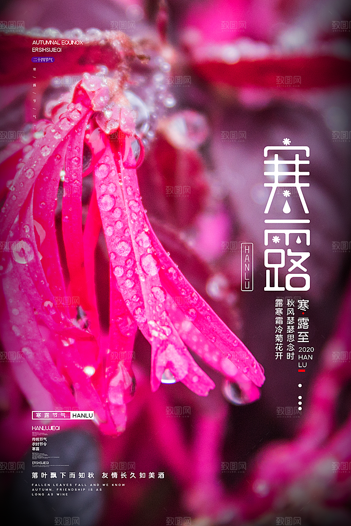 寒露节气寒露海报