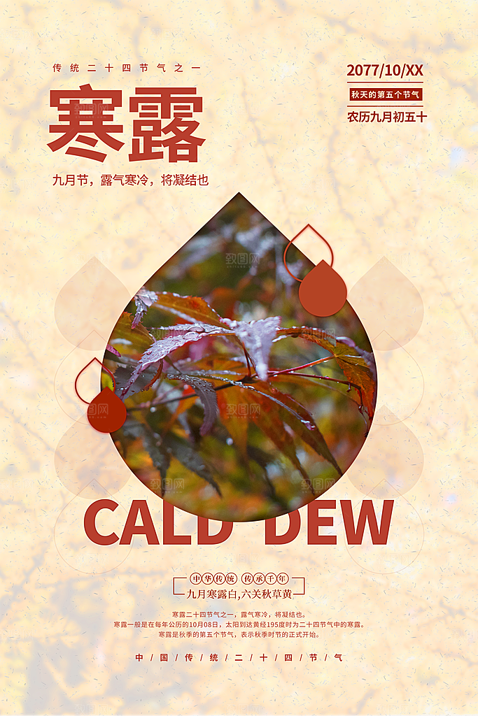 寒露节气寒露海报