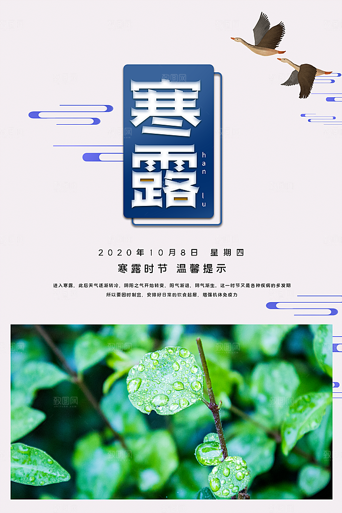 寒露节气寒露海报