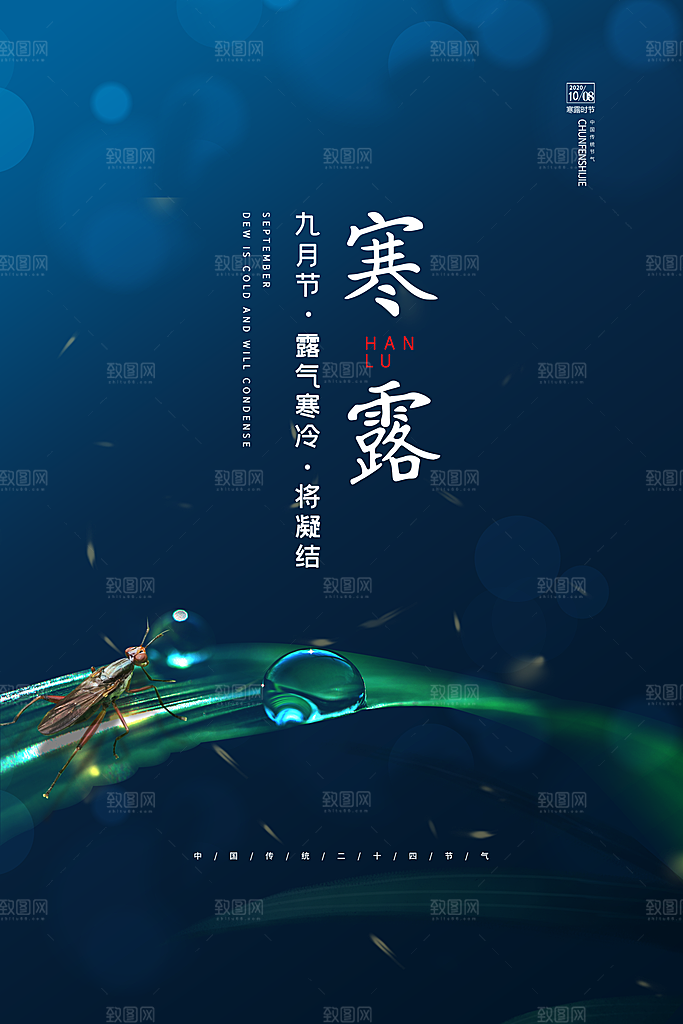 寒露海报寒露节气