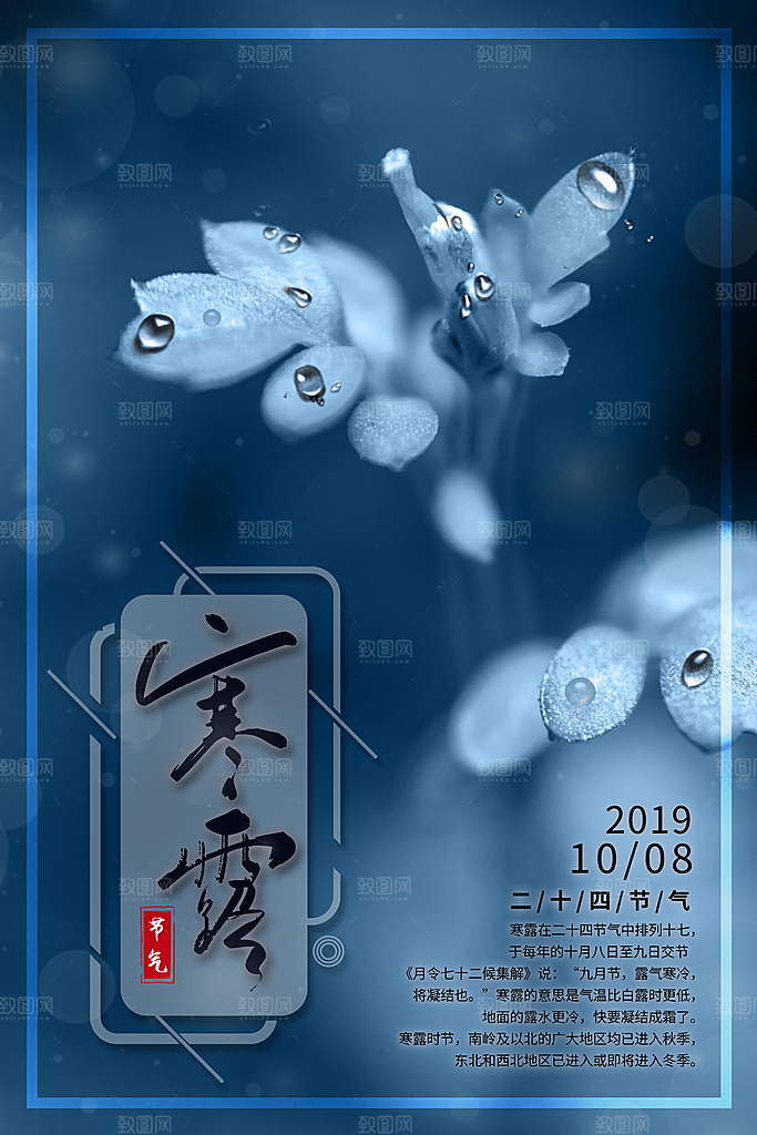 寒露海报寒露节气