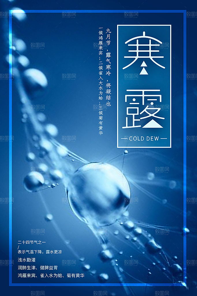 寒露海报寒露节气