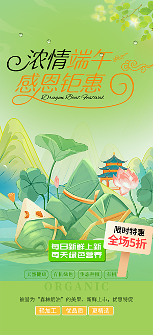 端午节粽子促销活动海报