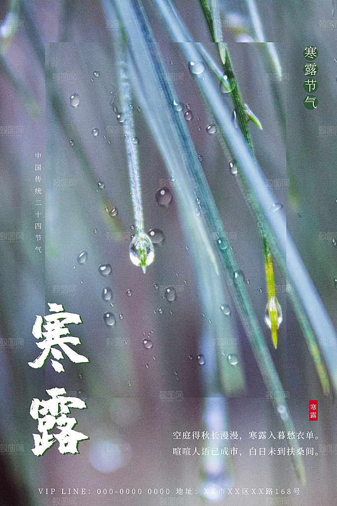 寒露节气寒露海报