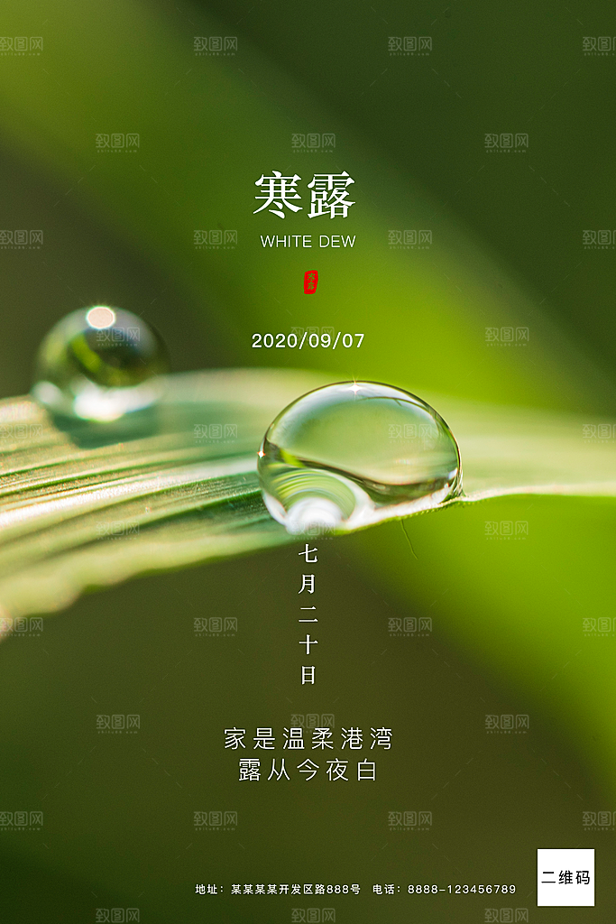 寒露节气寒露海报