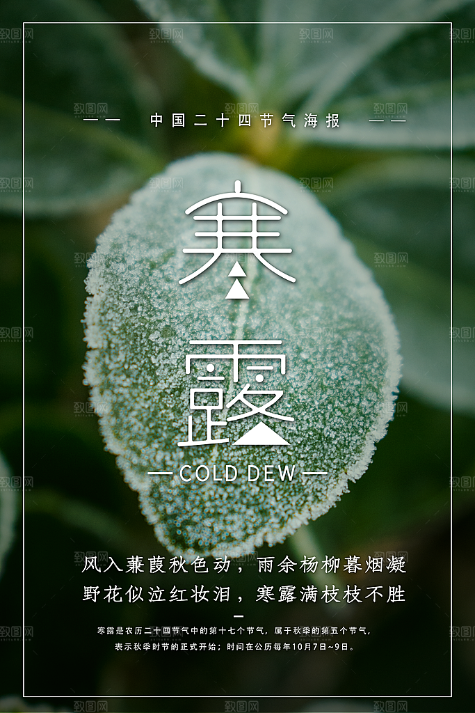 寒露节气寒露海报