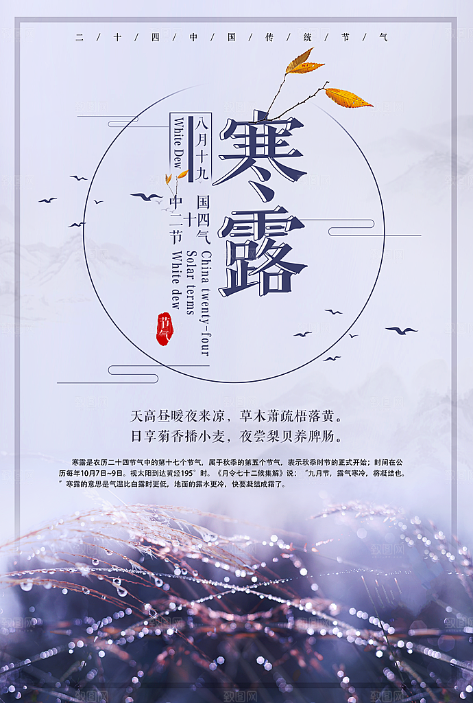寒露海报寒露节气
