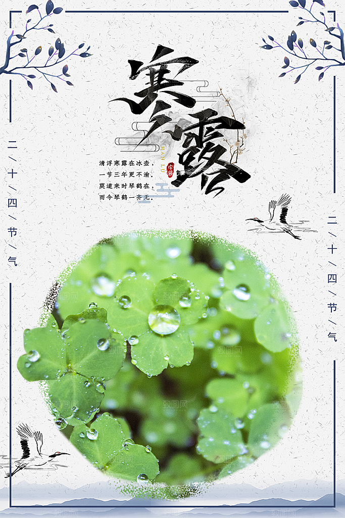 寒露节气寒露海报