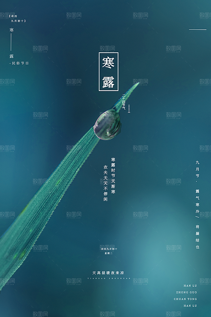 寒露节气海报寒露