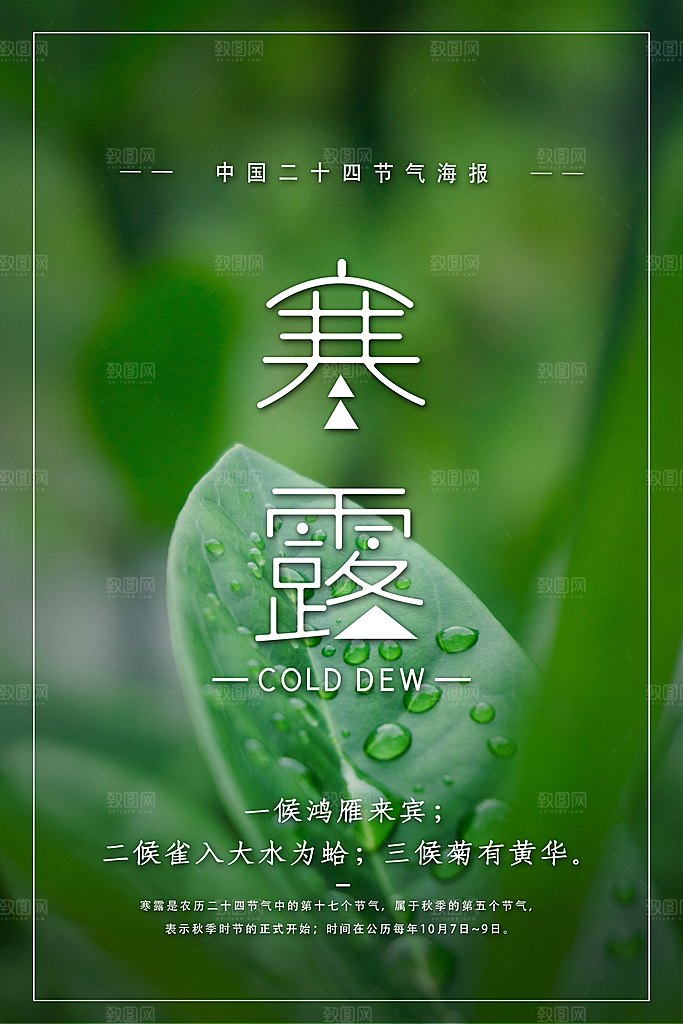 寒露海报寒露节气
