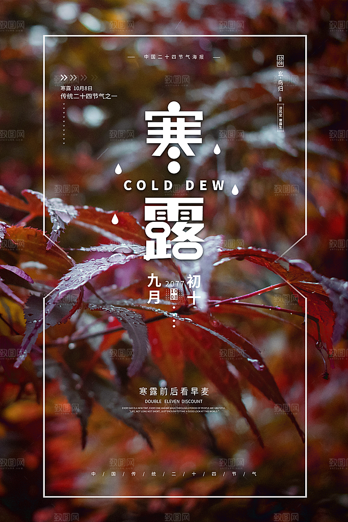 寒露海报寒露节气