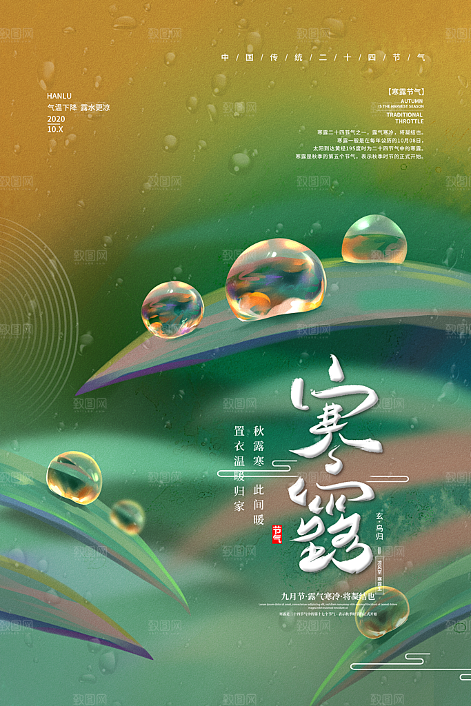 寒露海报寒露节气