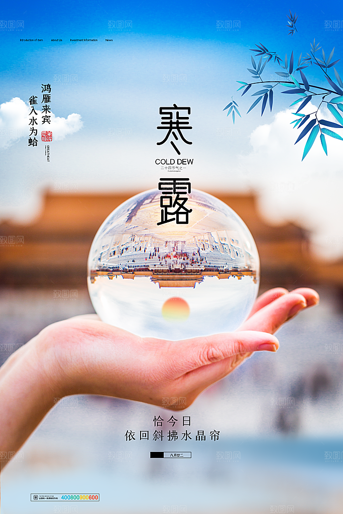 寒露节气寒露海报