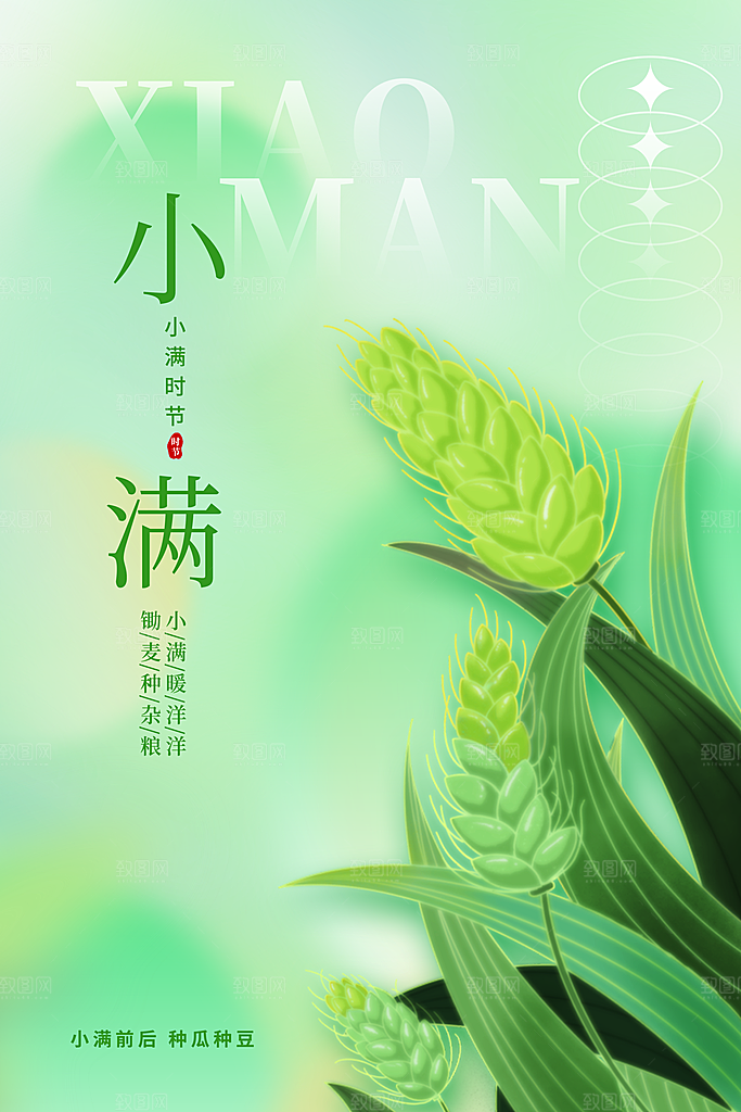小满节气传统海报