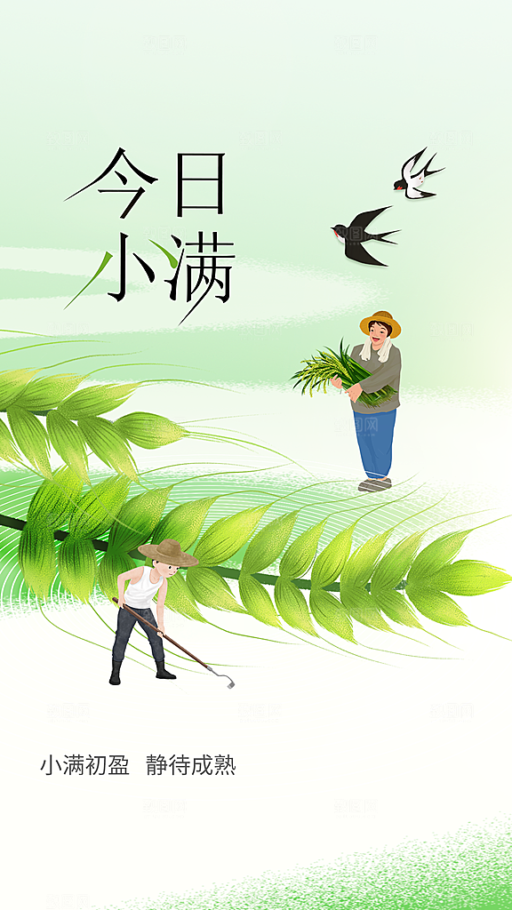 小满节气传统海报