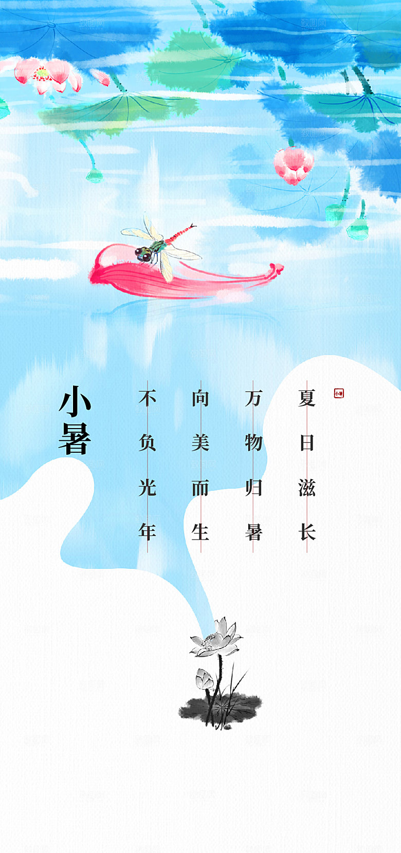 小暑24节气节日池塘水池荷花