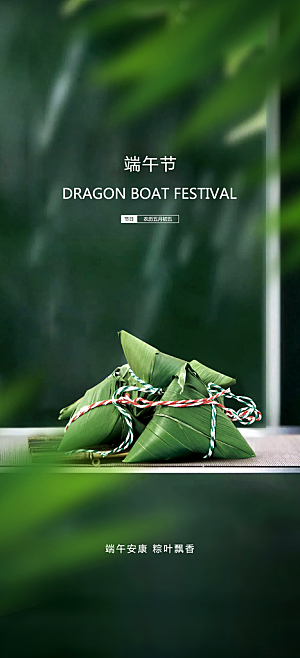中国端午传统节日海报