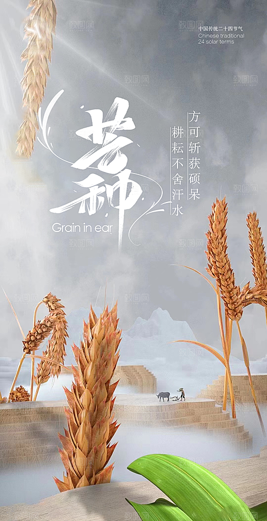 中国传统24节气芒种创意海报