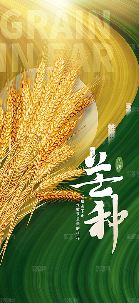 中国传统24节气芒种创意海报