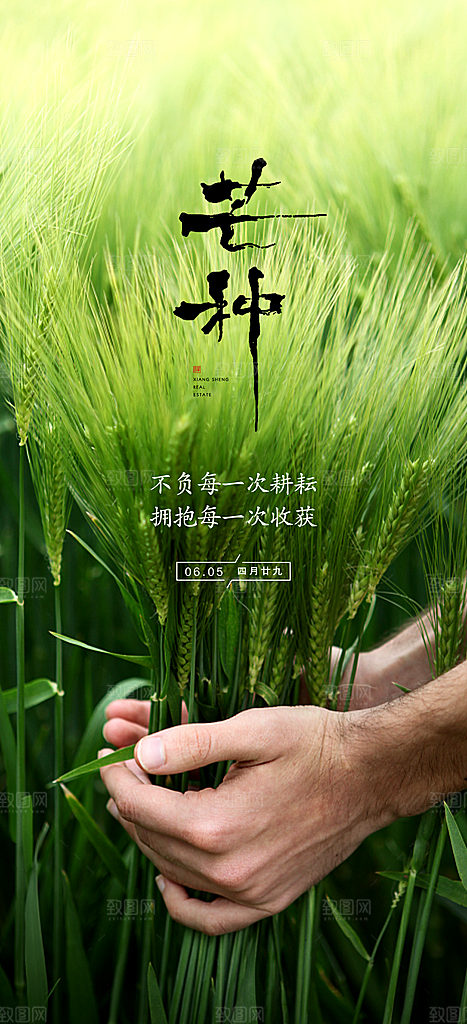 中国传统节气芒种创意海报