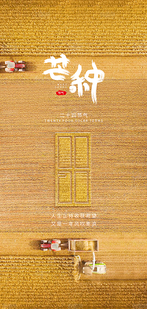 中国传统节气芒种创意海报