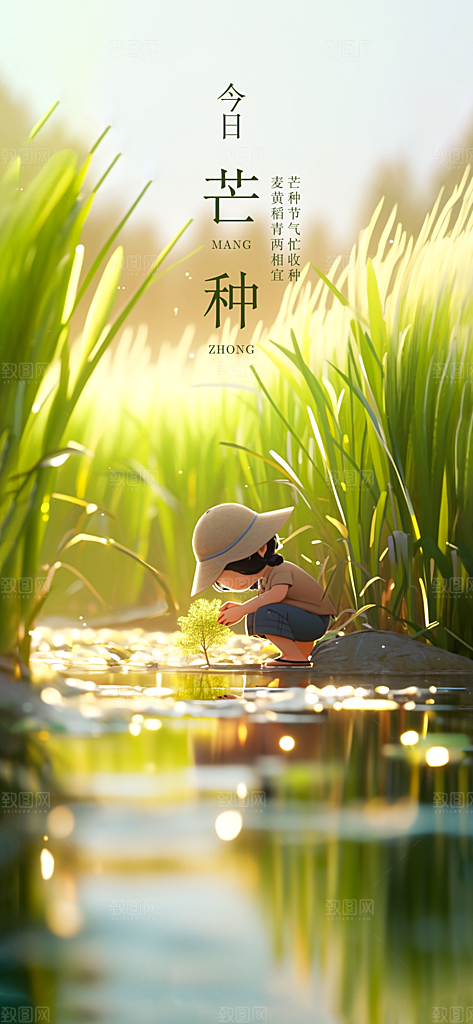 中国传统节气芒种创意海报
