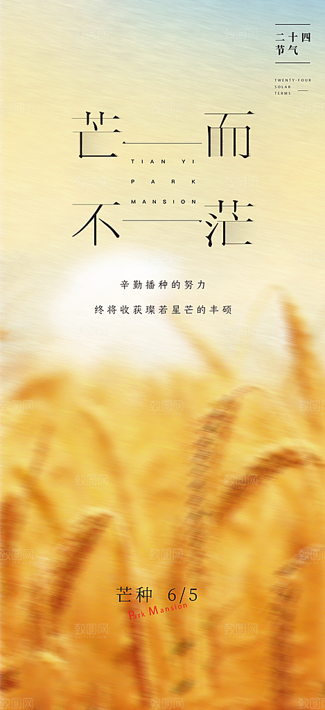 中国传统节气芒种创意海报