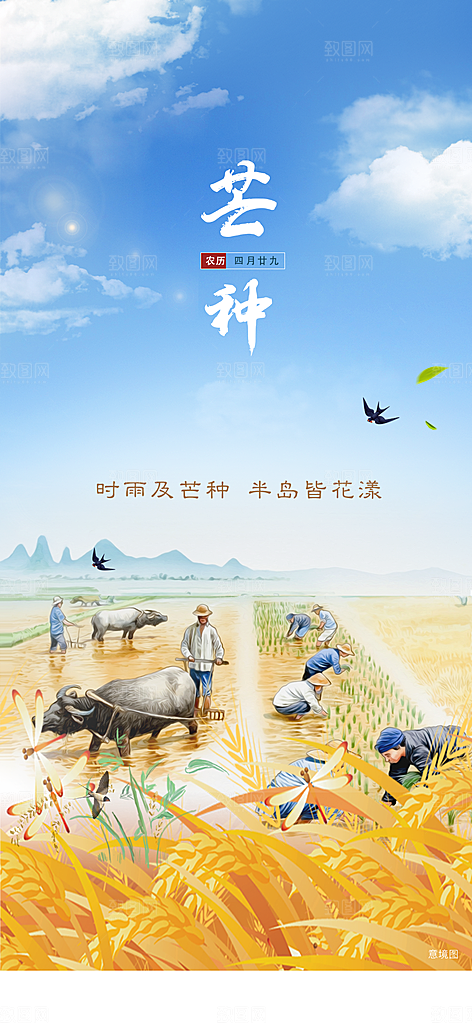 中国传统节气芒种创意海报