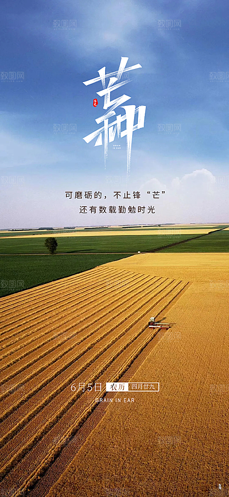 中国传统24节气芒种创意海报