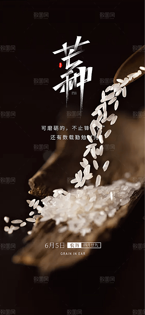 中国传统24节气芒种创意海报