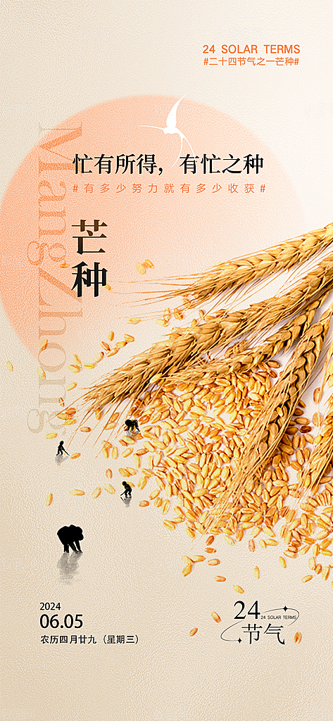 中国传统24节气芒种创意海报