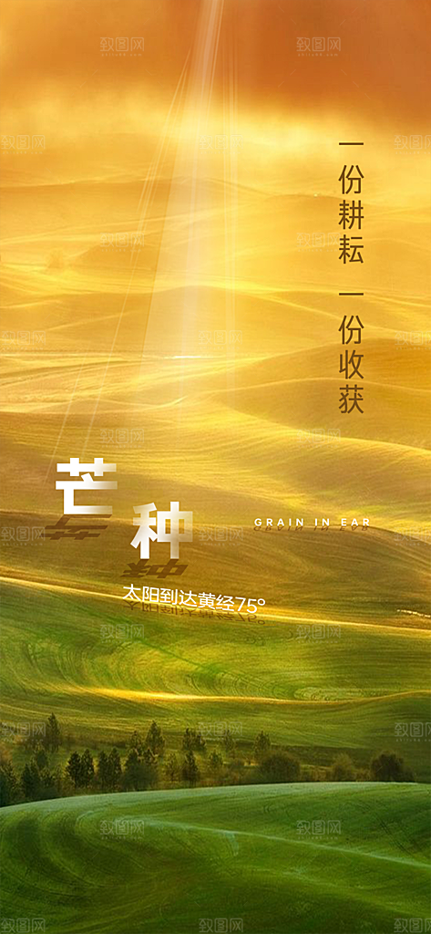 中国传统24节气芒种创意海报