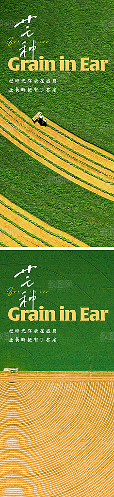 中国传统24节气芒种创意海报